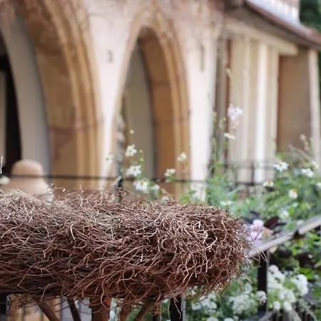 Renove Pres Du Centre De Avec Balcon, 2 Et Wi-fi Inclus - Fr-1-722-7