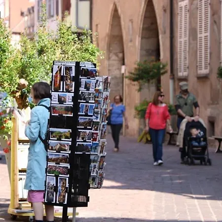 Renove Pres Du Centre De Avec Balcon, 2 Et Wi-fi Inclus - Fr-1-722-7 * Colmar