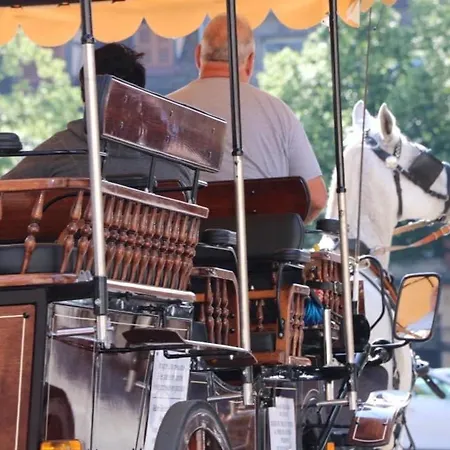 Renove Pres Du Centre De Avec Balcon, 2 Et Wi-fi Inclus - Fr-1-722-7 Colmar