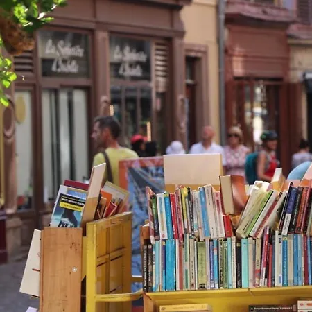 Daire Renove Pres Du Centre De Avec Balcon, 2 Et Wi-fi Inclus - Fr-1-722-7 Colmar